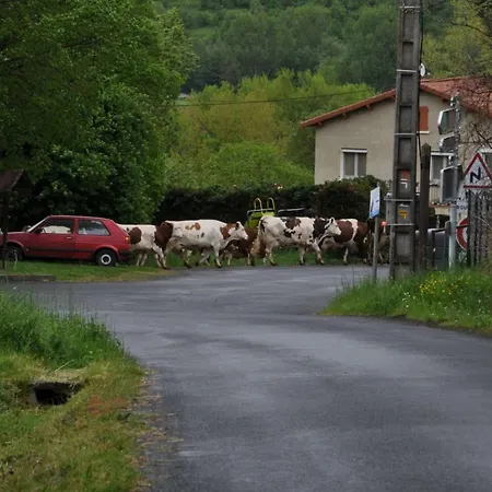 Les 5 Noyers Maison d'hôtes Saint-Ilpize